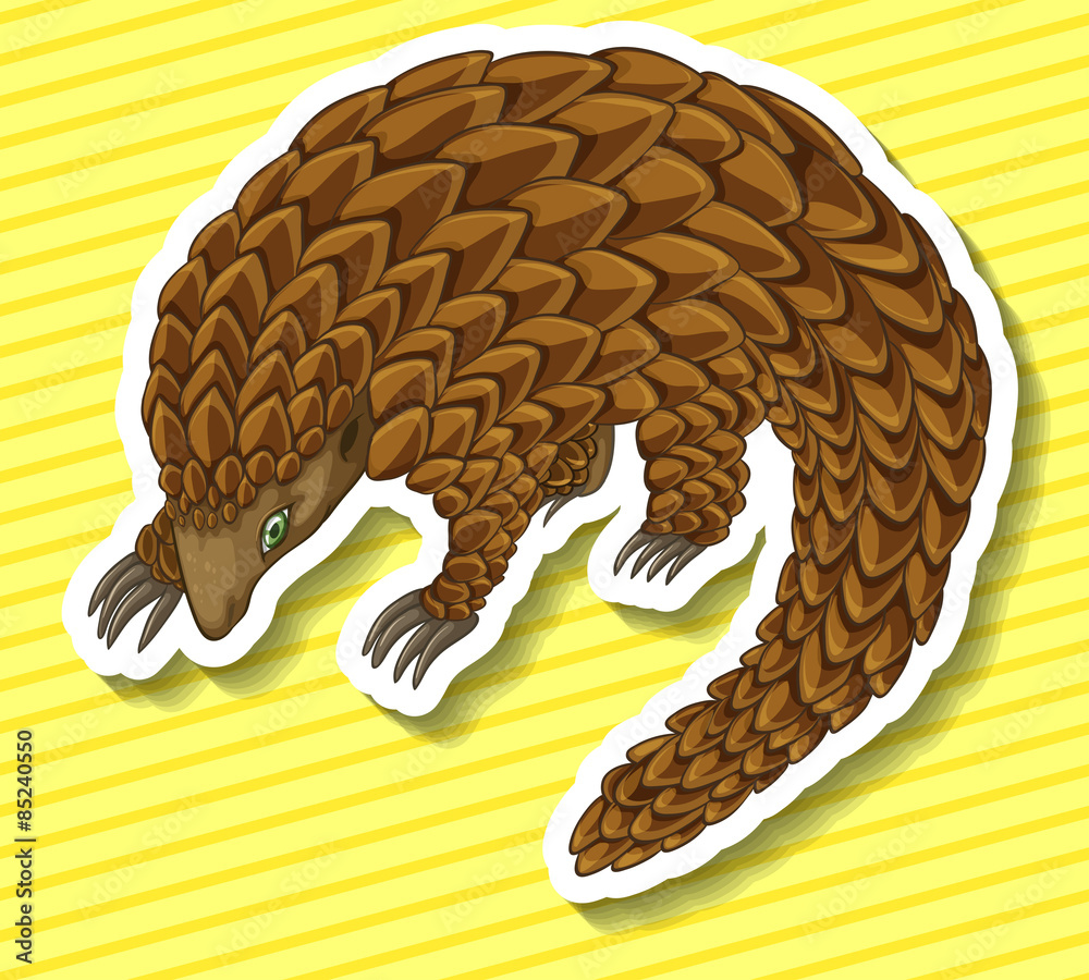 Canvas Prints Pangolin