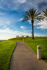 Palm trees and path at Hilltop Park, in Signal Hill, Long Beach,