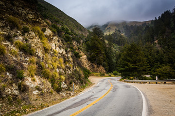 Naklejka premium Pacific Coast Highway, in Big Sur, California.