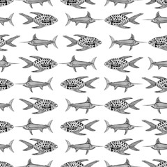 Fish seamless background