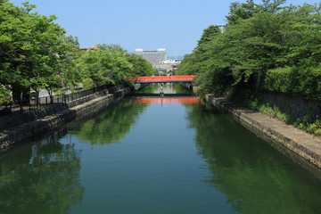 Fototapeta premium 京都 岡崎 新緑の疎水