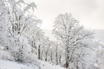 Fototapeta na wymiar Winter landscape in the mountains, the trees in hoarfrost 