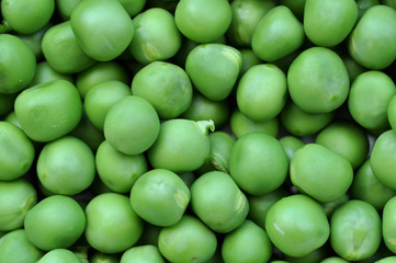Green peas background