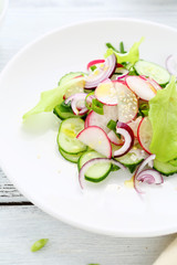 salad with radishes and onions
