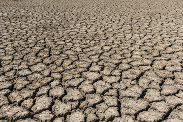 Dry cracked soil during drought