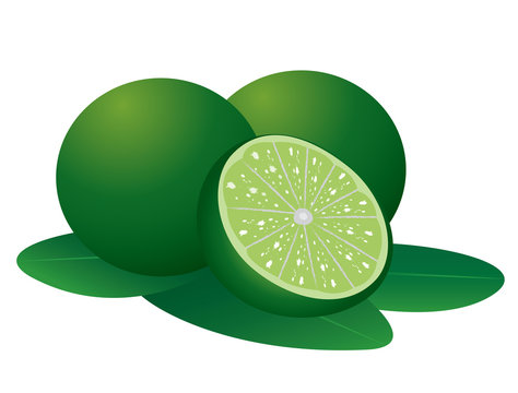 green limes with leaves, cut lime clip art preview