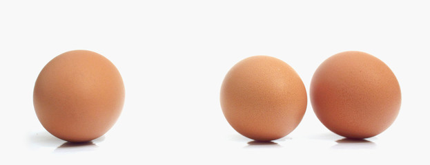 eggs on white background