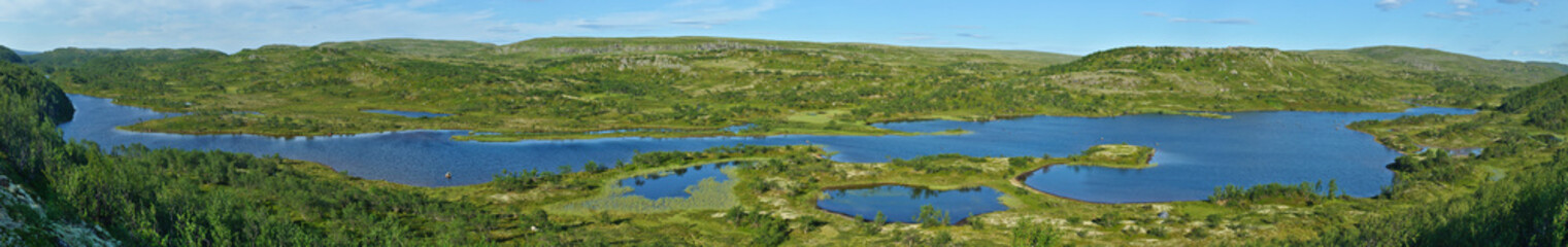 Fototapeta na wymiar A long lake in summer tundra (panoramic view)