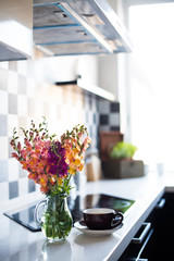 home interior of modern kitchen