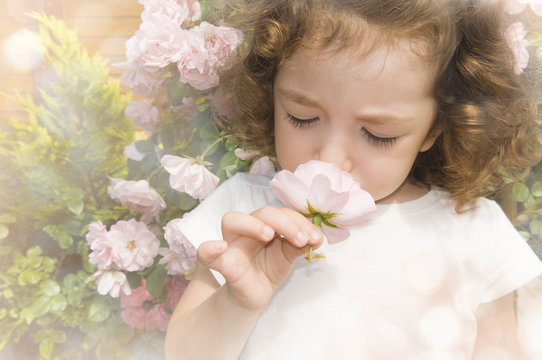 Child Smelling Flower On Blurred Hazy Background