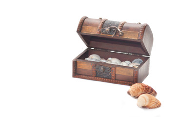 Treasure box with seashell