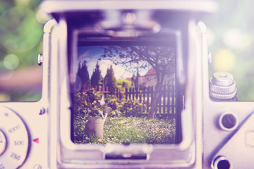 Outdoor gardening tools and flowers through the old camera  with instagram effect retro vintage filter