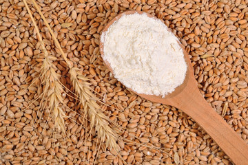 White flour in a wooden spoon and ears of wheat on a wheat grain