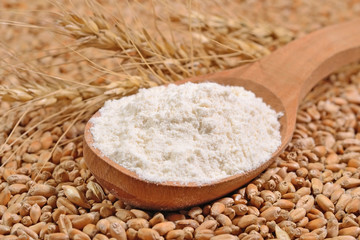 White flour in a wooden spoon and ears of wheat on a wheat grain
