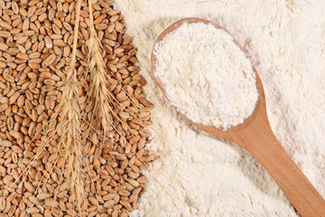White flour in a wooden spoon and ears of wheat