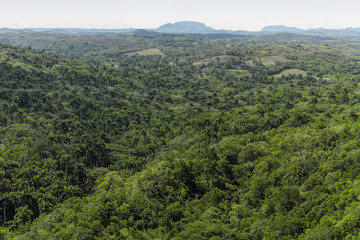 Fototapeta premium Lush tropical valley near Matanzas in Cuba