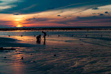 Kids playing on the beach at the sunset time