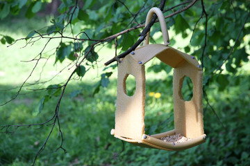 Birds feeder in the wood. Care of animals.