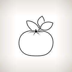 Mandarin in the Contours