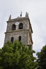 Fototapeta na wymiar Iglesia de Santa María de la Asunción (Dueñas, Palencia)