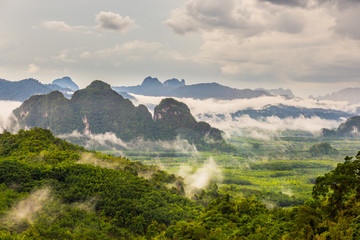 Mountain landscape with mist