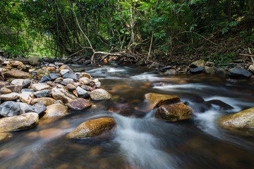 running of water stream from waterfall in tropical rain forest