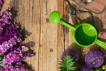 top view of gardening tools lying on the terrace