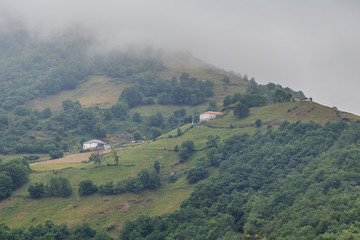 Fototapeta na wymiar Niebla en el valle de Leitariegos, Asturias