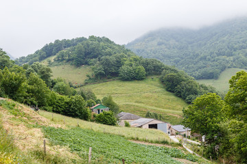 Niebla en el valle de Leitariegos, Asturias