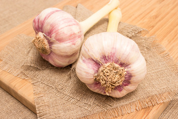 fresh garlic on canvas close up