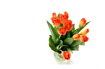 beautiful bouquet of orange tulips