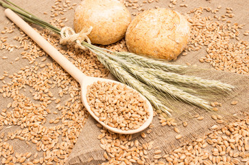 wheat grain on canvas close up