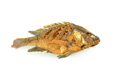 Fried Tilapia fish fried isolated on white background