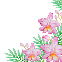 Pink orchids and green leaves