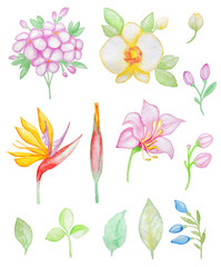 Watercolor tropical flowers and leaves