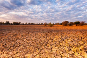 African landscape