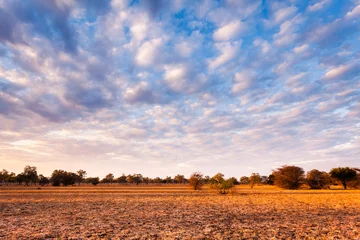 Fotobehang African landscape © sabino.parente