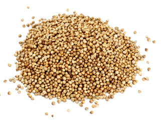 coriander seeds