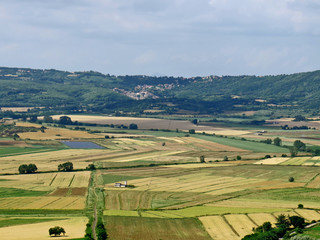 Fototapeta premium colori della campagna, campagna