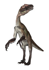 Dinosaur Utahraptor