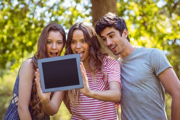 Happy friends taking a selfie