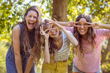 Happy friends taking a selfie
