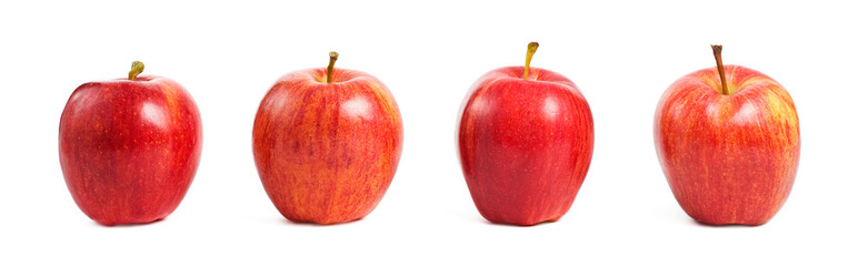 Gala Apples in a row on white background