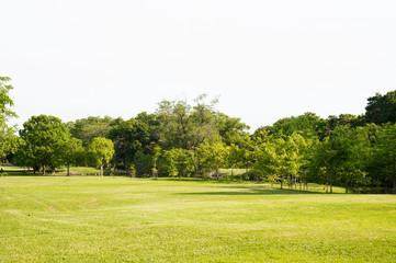 green park landscape, background