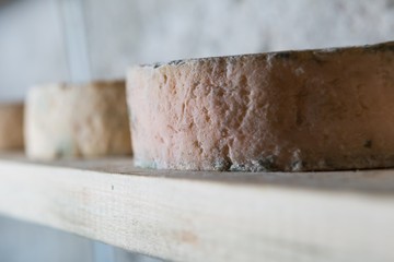 French goat cheese maturing in basement