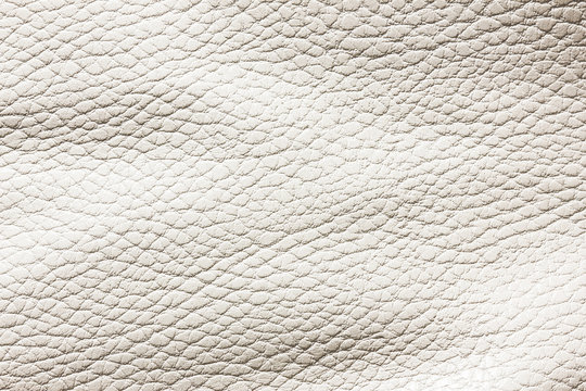 White leather texture.