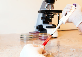 Laboratory doctor or scientific researcher using a pipette to take blood samples from a laboratory tube. Petri dishes and laboratory microscope in the background