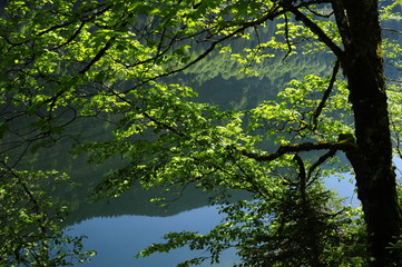 Alpine lake Gosausee, Austria