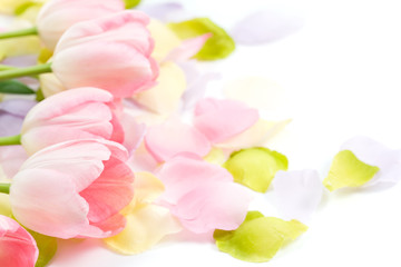Tulips and Petals on white background for spring and Easter themes. 