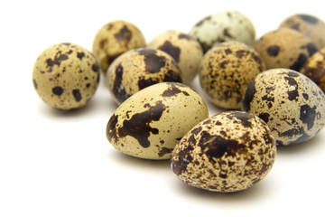 Fototapeta premium quail eggs